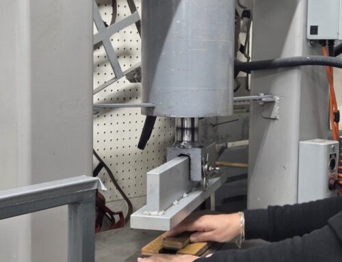 Aenean lobortis sapien enim viverra